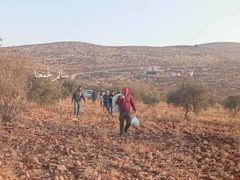 مستوطنون برفقة جيش الاحتلال يعتدون على المزارعين في قرية سالم شرق نابلس ويمنعوهم من البقاء في أرضهم