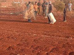 مستوطنون برفقة جيش الاحتلال يعتدون على المزارعين في قرية سالم شرق نابلس ويمنعوهم من البقاء في أرضهم