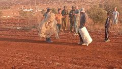 مستوطنون برفقة جيش الاحتلال يعتدون على المزارعين في قرية سالم شرق نابلس ويمنعوهم من البقاء في أرضهم