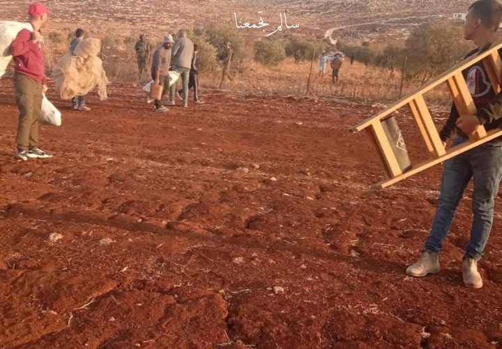 مستوطنون برفقة جيش الاحتلال يعتدون على المزارعين في قرية سالم شرق نابلس ويمنعوهم من البقاء في أرضهم