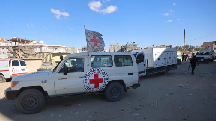 غزة: أدلة جنائية تثبت إعدامًا ميدانيًا لـ25 شهيدًا بعد اعتقالهم