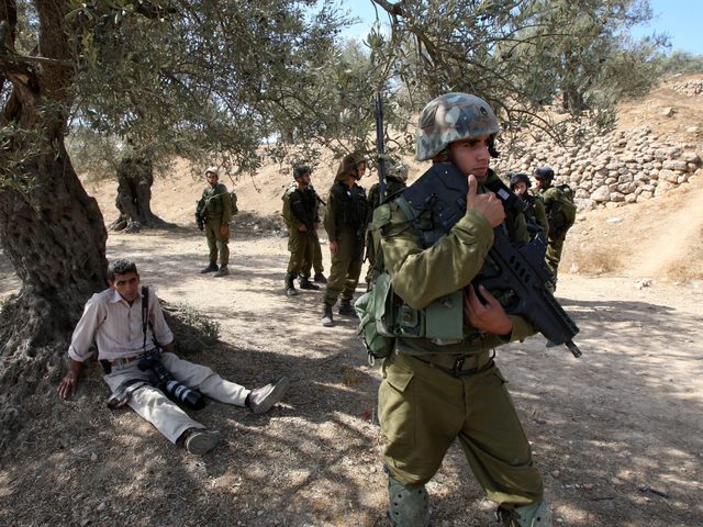 الاحتلال يطلق النار صوب قاطفي الزيتون