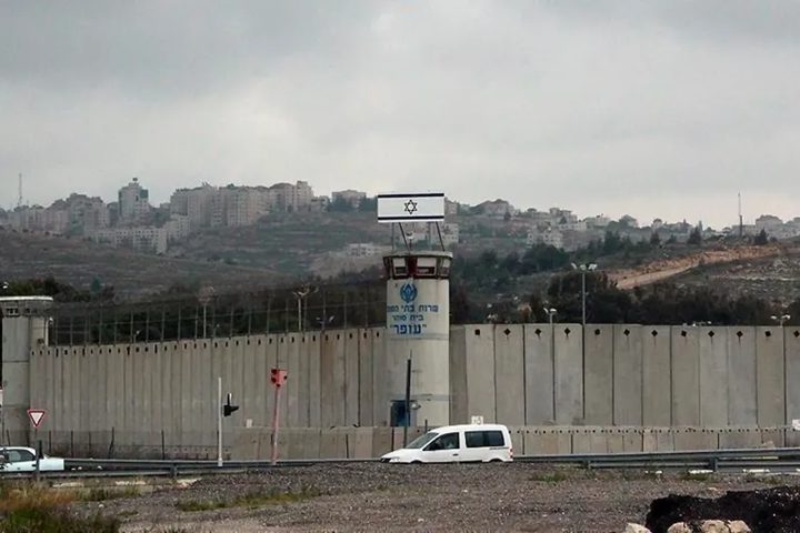 ارتفاع عدد شهداء الحركة الأسيرة إلى 80 منذ بدء حرب الإبادة