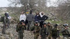 تصاعد اعتداءات المستوطنين خلال موسم الزيتون في الضفة وهآرتس تحذر من اهمال متعمد