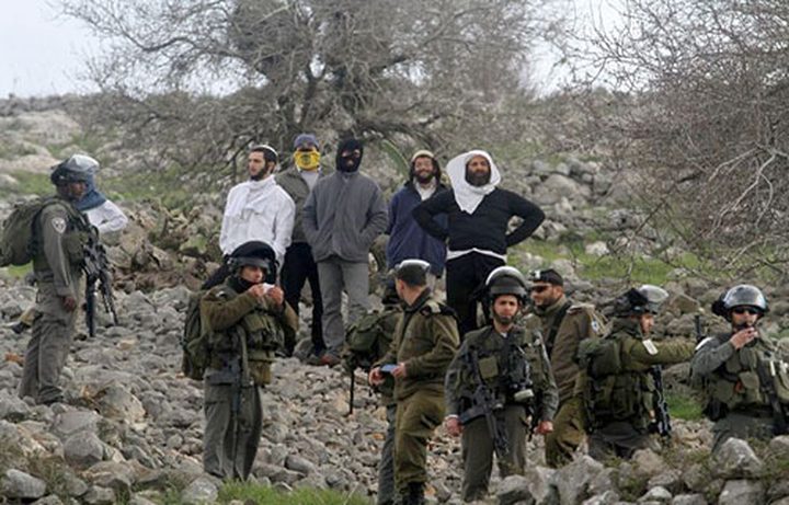 تصاعد اعتداءات المستوطنين خلال موسم الزيتون في الضفة وهآرتس تحذر من اهمال متعمد