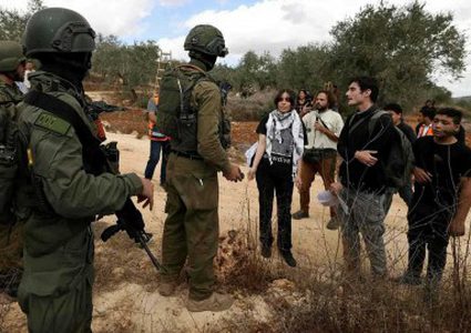 إسرائيل تطرد 32 أجنبيا من الضفة الغربية لمساعدتهم قاطفي الزيتون