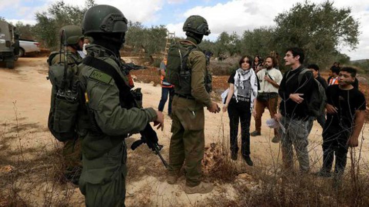 إسرائيل تطرد 32 أجنبيا من الضفة الغربية لمساعدتهم قاطفي الزيتون
