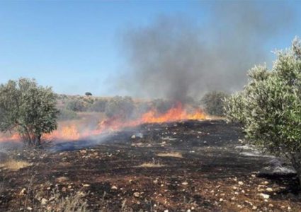 مستوطنون يضرمون النيران في عدد من مركبات المواطنين في دير دبوان شرق رام الله
