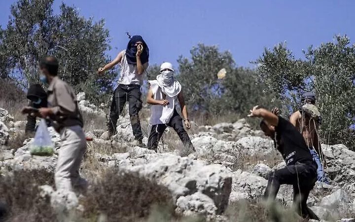 مستوطنون يهاجمون قاطفي الزيتون في بيت دجن شرق نابلس