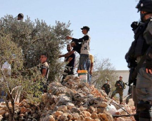 مستوطنون يهاجمون مزارعين ومتضامنين أجانب في كفر مالك شرق رام الله