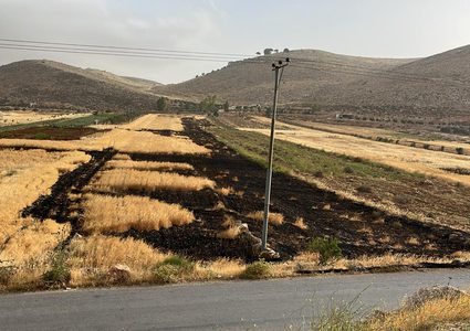 مستوطنون يحرقون بيوت المواطنين في خلة السدرة شمال شرق القدس
