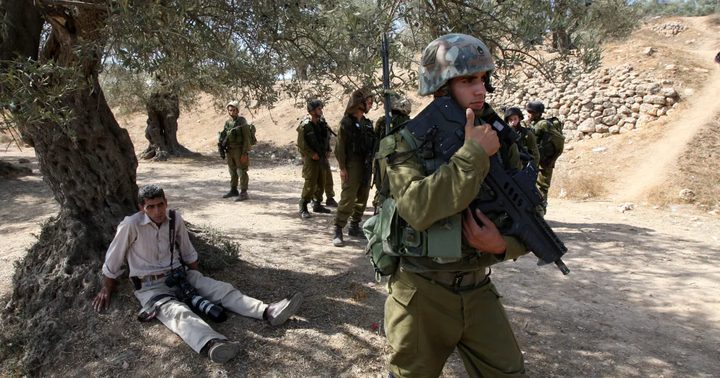 الجامعة العربية تدين اعتداءات المستوطنين في موسم الزيتون