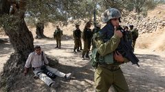 الجامعة العربية تدين اعتداءات المستوطنين في موسم الزيتون