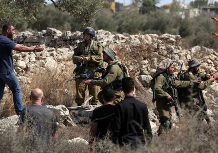 الاحتلال يمنع المزارعين من الوصول إلى أراضيهم شرق قلقيلية في موسم قطف الزيتون