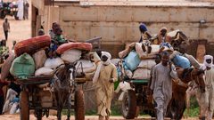 الصليب الأحمر: مقتل 5 متطوعين في السودان خلال توزيع الغذاء