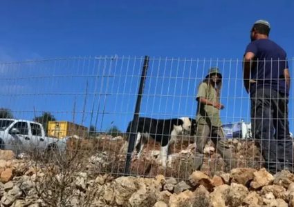 مستوطنون يسيّجون مزيدًا من أراضي المواطنين في الفارسية بالأغوار الشمالية