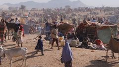 مجلس الأمن يدين هجمات «الدعم السريع» في الفاشر ويدعو لحماية المدنيين