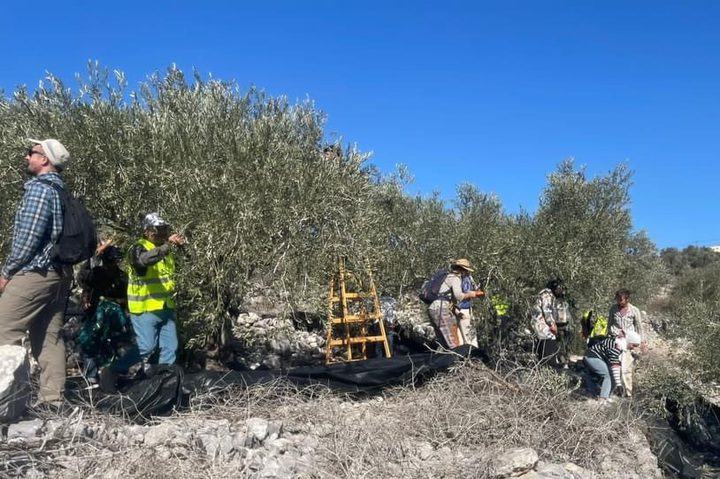 مستعمرون يهاجمون قرية بيت ليد