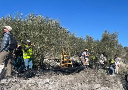 مستعمرون يهاجمون قرية بيت ليد