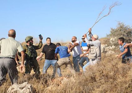 مستعمرون يقتلون خرافا في الخليل