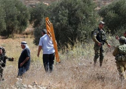 مستوطنون يهاجمون المواطنين ويمنعونهم من قطف الزيتون في سنجل شمال رام الله