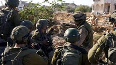 هآرتس: جنود إسرائيليون يسرقون زيتونا بعد إبعاد أصحابه بأمر عسكري في سنجل