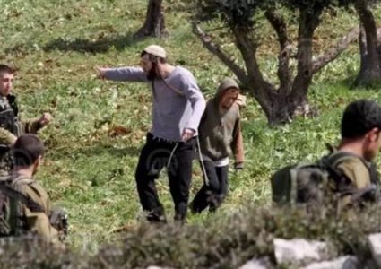 مستعمرون يهاجمون المواطنين في عقربا