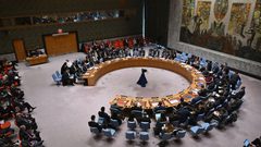 رويترز: أمريكا تشارك مشروع قرار بشأن غزة مع الأعضاء المنتخبين بمجلس الأمن