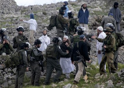 مقاومة الجدار والاستيطان: 2350 اعتداء نفذها الجيش والمستوطنون الشهر الماضي