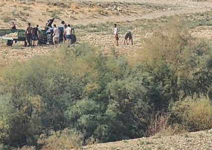 مستوطنون يهدمون خياما وحظائر ماشية ويستولون على أرض في الأغوار الشمالية