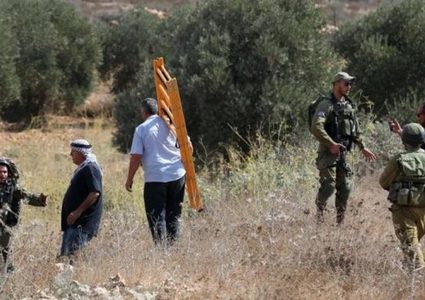 مستوطنون يهاجمون المزارعين ويسرقون ثمار الزيتون في سنجل شمال رام الله