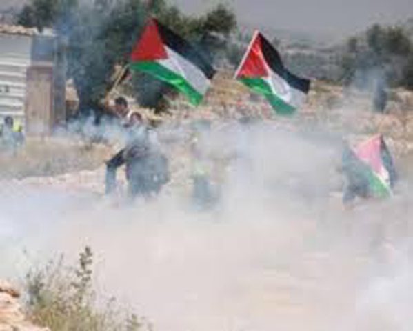 إصابات بالرصاص خلال قمع الاحتلال فعالية في أراضي الدوير بين طولكرم وقلقيلية