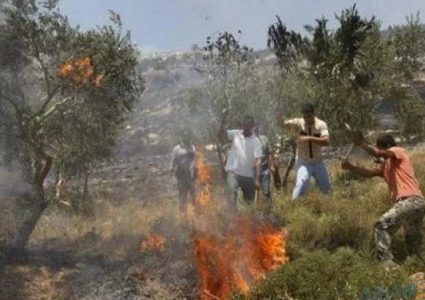 مستوطنون يضرمون النار في منزل بقرية أبو فلاح