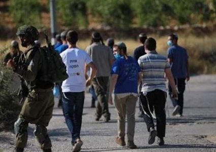 الأمم المتحدة: اعتداءات المستوطنين الشهر الماضي تسجل أعلى حصيلة شهرية منذ عقدين