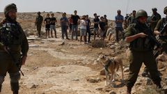 إصابة مواطن جراء اعتداء مستوطنين عليه بمسافر يطا