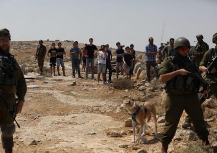 إصابة مواطن جراء اعتداء مستوطنين عليه بمسافر يطا