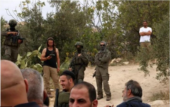 مستوطنون يهدمون خيمة ويعتدون على أراضي زراعية بالأغوار