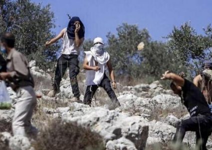 مستوطنون يقتحمون تجمعي مكحول وسمرة بالأغوار الشمالية