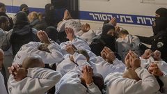 منصور: قانون إعدام الأسرى يكشف الوجه العنصري للاحتلال ويكرّس عقلية الإجرام الرسم