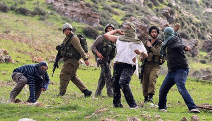 إصابة شاب في هجوم للمستوطنين على بلدة سنجل شمال رام الله