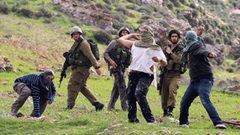 إصابة شاب في هجوم للمستوطنين على بلدة سنجل شمال رام الله