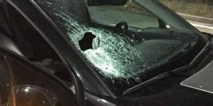 مستوطنون يهاجمون مواطنين غرب رام الله