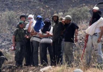 مستوطنون يهاجمون رعاة أغنام قرب عناتا شرق القدس