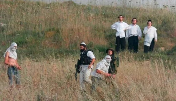 قلقيلية: إصابتان بالرأس في هجوم للمستوطنين على منطقة "الدوير" شمال كفر قدوم