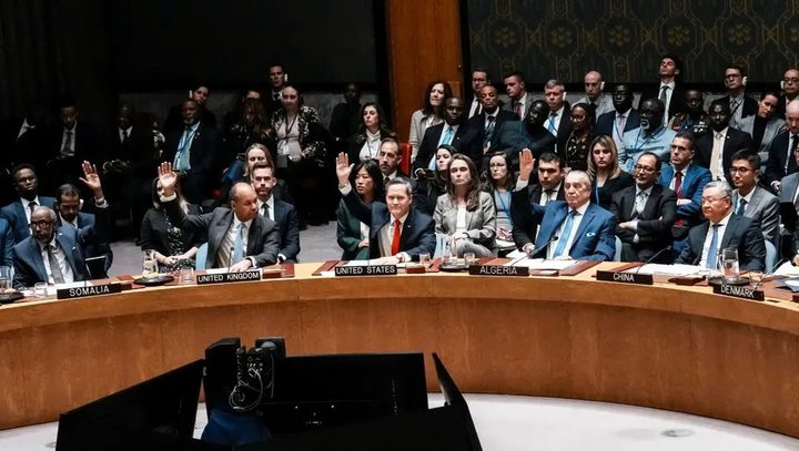 مصر تؤكد وحدة أراضي فلسطين وترفض أي مساس بغزة وتدعو لتنفيذ قرار مجلس الأمن