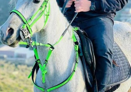 شهيد برصاص الاحتلال في قرية تل جنوبي نابلس