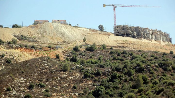 نابلس: الاحتلال والمستوطنون يجرفون عشرات الدونمات في عراق بورين