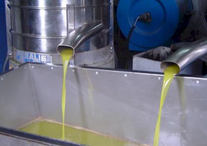 وزارة الزراعة: ارتفاع نسب غش زيت الزيتون إلى 4% وتحويل 7 ملفات للنيابة