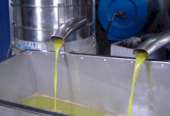 وزارة الزراعة: ارتفاع نسب غش زيت الزيتون إلى 4% وتحويل 7 ملفات للنيابة