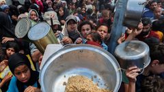 المفوضة الأوروبية لإدارة الأزمات تدعو لضرورة تدفق المساعدات إلى غزة